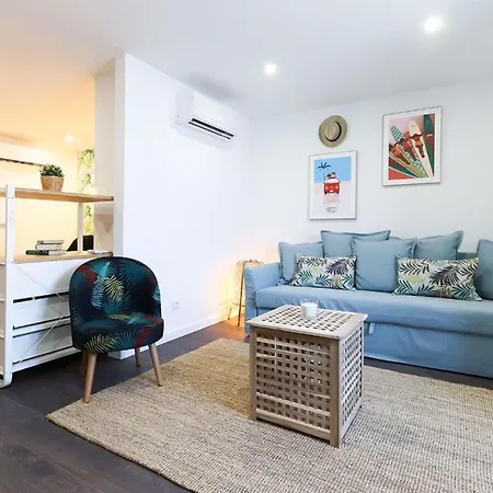 Benfica Ii By Homing